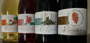 VIGNOBLE D’OCCARIUS